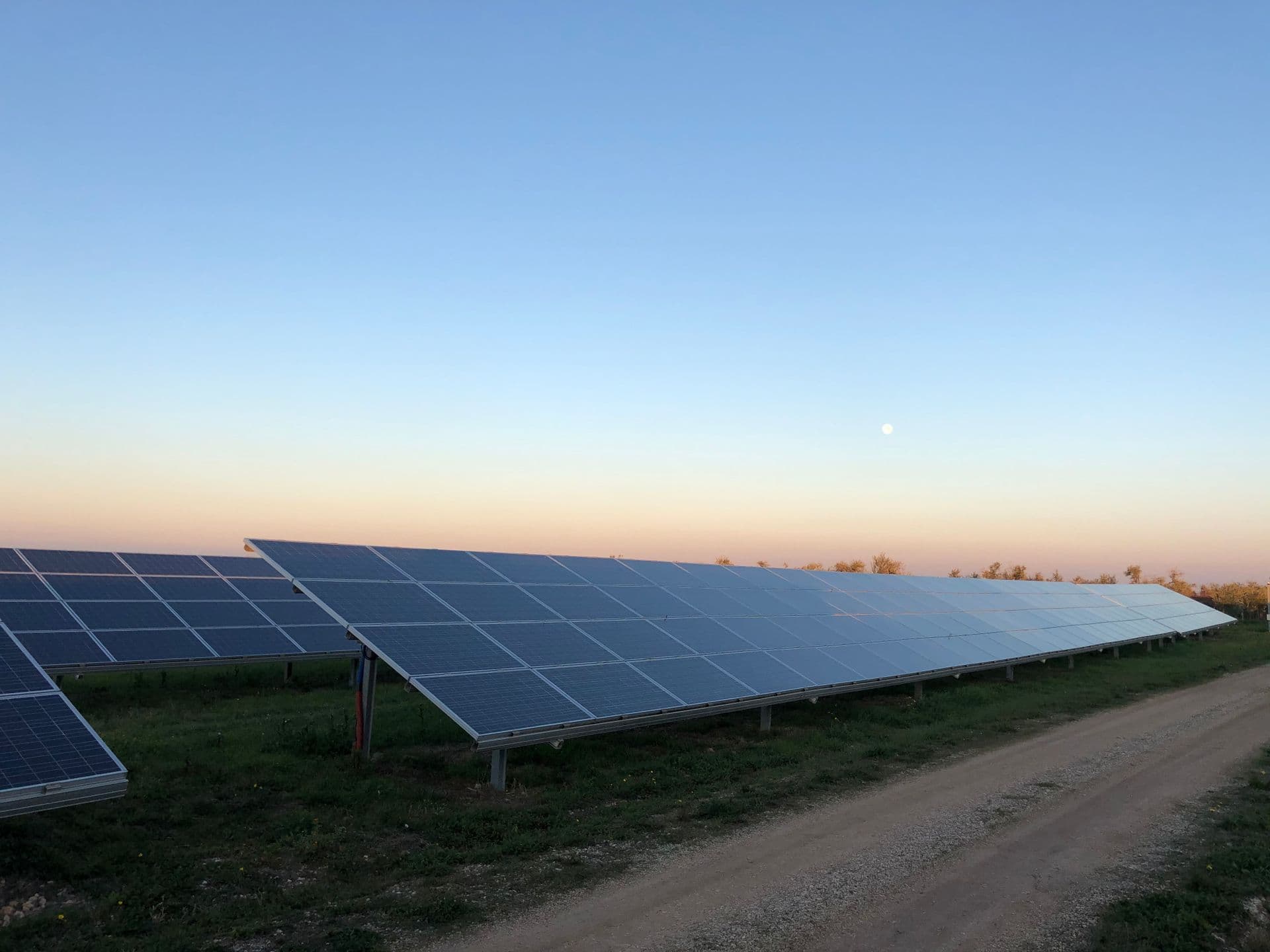 Rânduri de panouri solare pe câmp verde la amurg