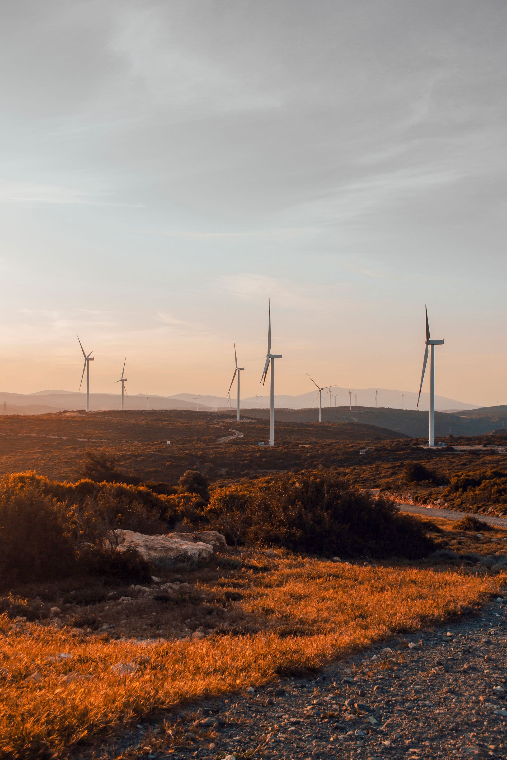 Turbine eoliene pe dealuri verzi la apus